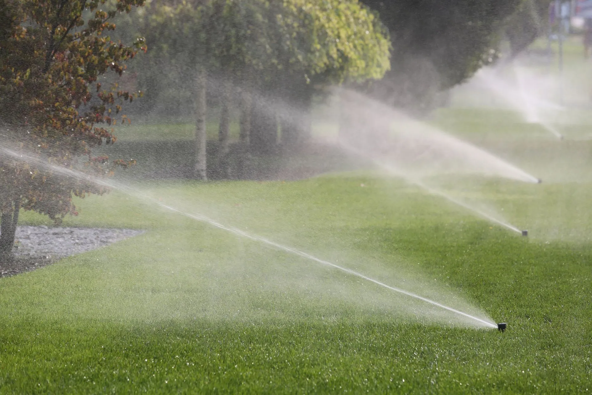 Irrigation sprinkler running across a green West Michigan lawn